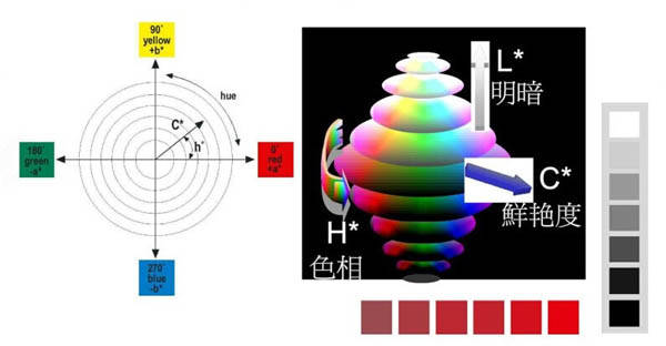 ɫ��ɫƬ�ɫ��ȼ��g�����D